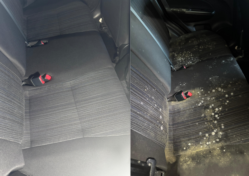 Gründlich gereinigter Autositz nach professioneller Schimmelentfernung durch Auto Pro Deluxe – hygienischer Fahrzeuginnenraum in der Schweiz
